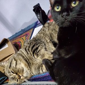 Meet your Posher, Jaime